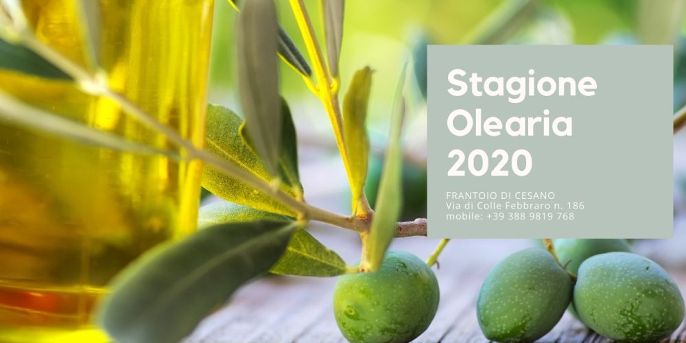 Stagione Olearia 2020